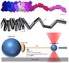 Macromolecule.jpg