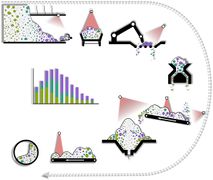 Tracking of Granular Matter